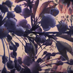 animated gif - floral fabric collage