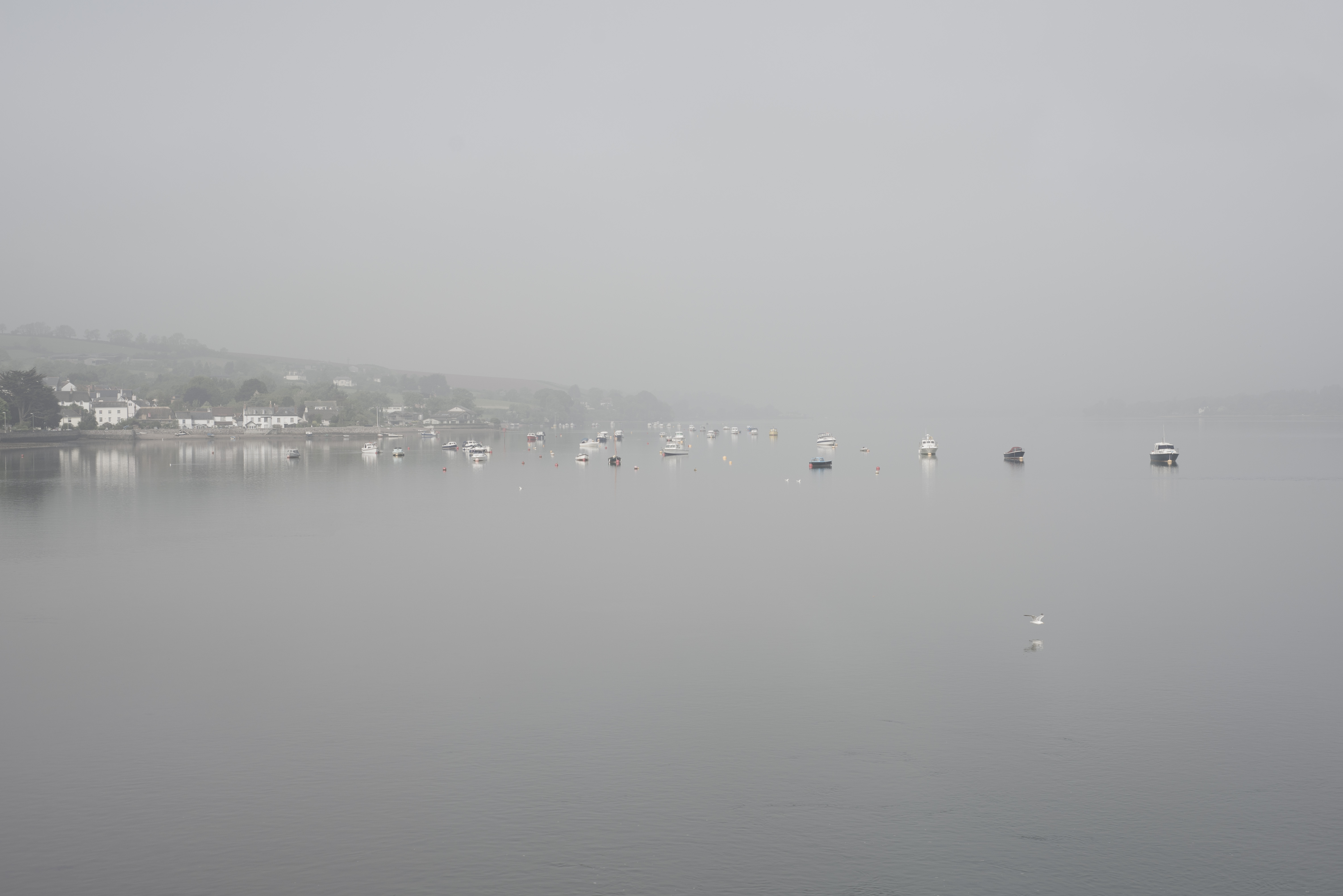 photo shaldon devon
