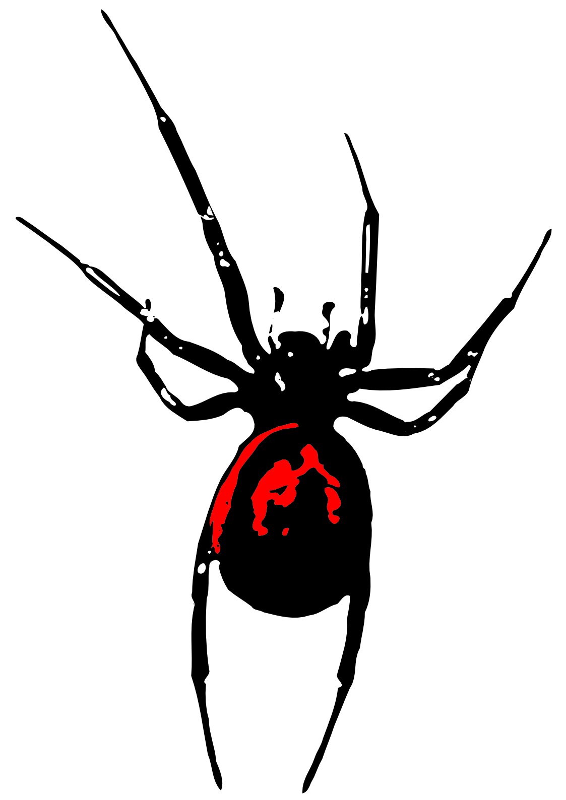 graphic from photo spider