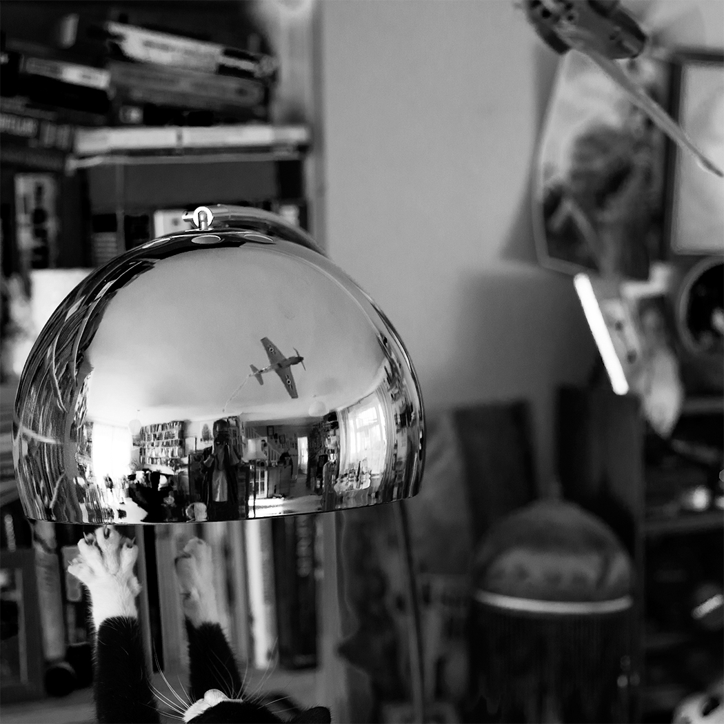 photo black and white multiple subjects